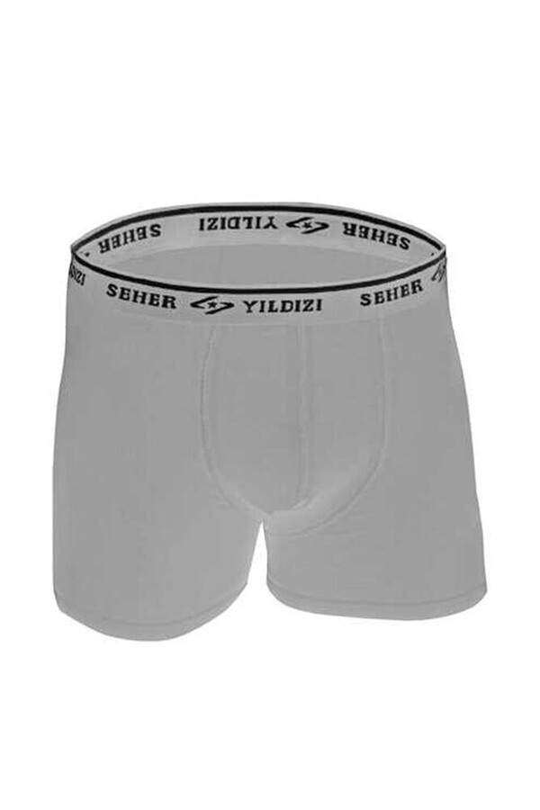 SEHER ERKEK ELASTAN BOXER SER0060 - Thumbnail